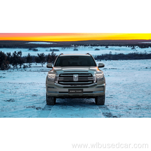 Midsize Business Luxury SUV gwm Tank 500